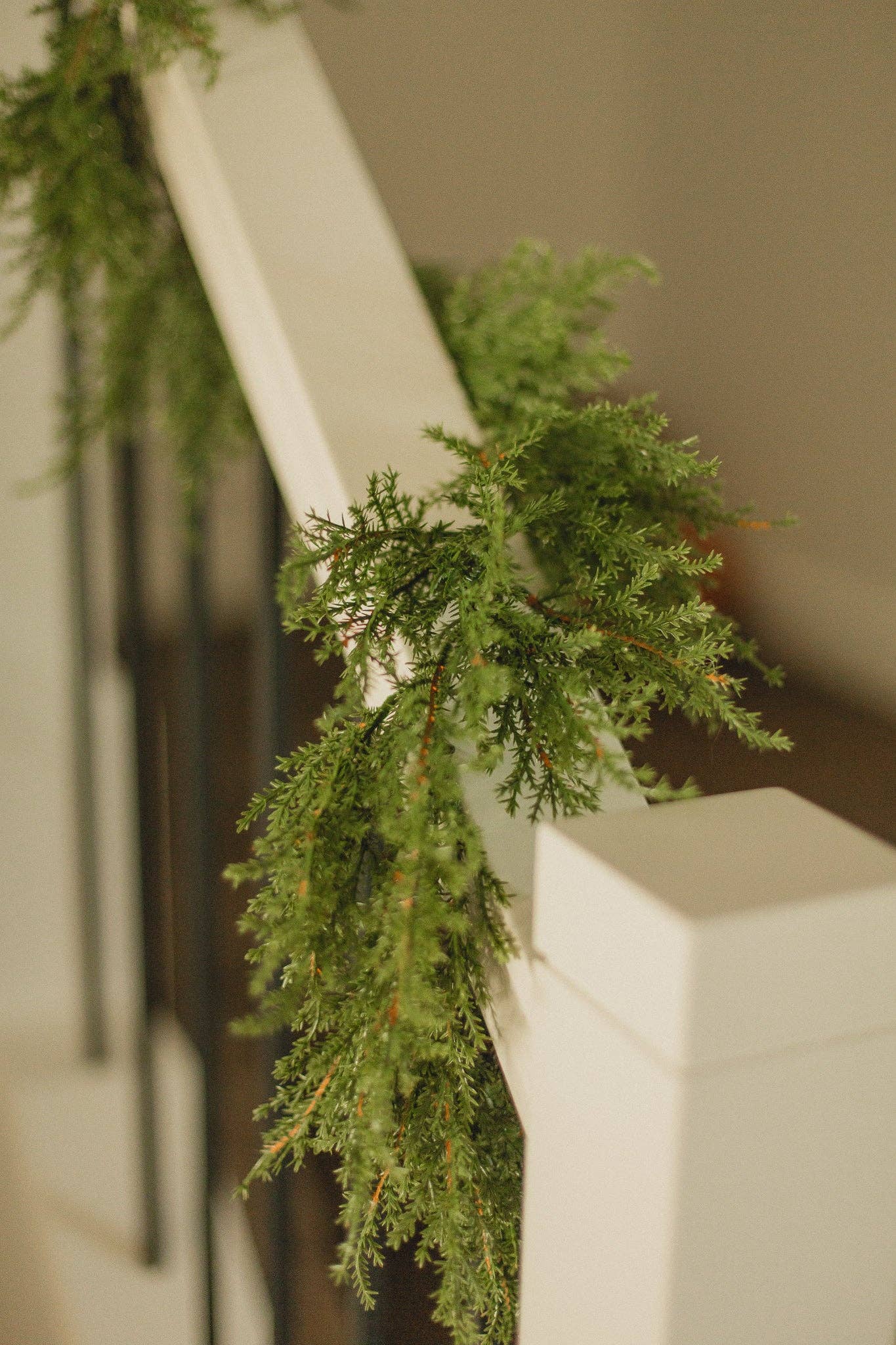 Cedar Garlands | Holiday Décor (Eucalypt Co.)